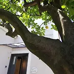Guest Armonie
