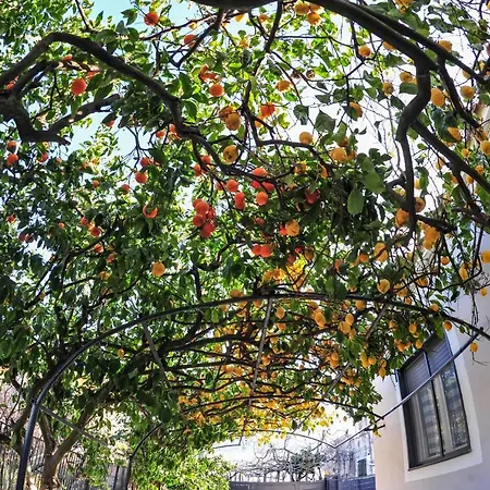 Panzió Guest Armonie 3*