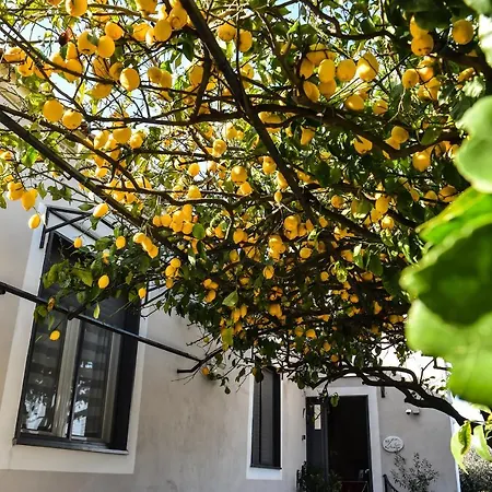 Bed & Breakfast Guest Armonie Torre del Greco