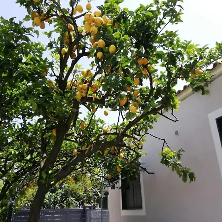 Guest Armonie Bed & Breakfast Torre del Greco