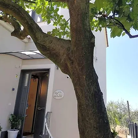 Bed & Breakfast Guest Armonie 3*